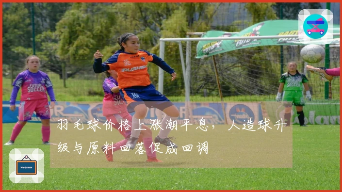 羽毛球价格上涨潮平息，人造球升级与原料回落促成回调